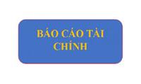 Báo cáo tài chính quý III năm 2019