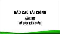 Báo cáo tài chính kiểm toán năm 2017