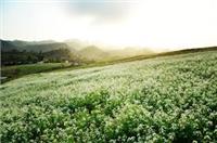 Công văn của Bộ Tài chính ghi nhận việc thay đổi tên gọi Công ty thành viên