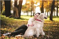 VNI ra mắt sản phẩm bảo hiểm chủ nuôi chó