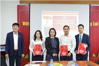 CÁC CHI BỘ TRỰC THUỘC ĐẢNG BỘ TỔNG CÔNG TY CỔ PHẦN BẢO HIỂM HÀNG KHÔNG TỔ CHỨC LỄ KẾT NẠP ĐẢNG VIÊN MỚI 