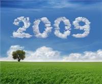 Báo cáo tài chính đã kiểm toán năm 2009