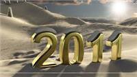 Báo cáo tài chính đã kiểm toán năm 2011