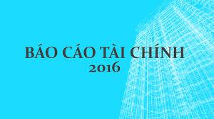 Báo cáo tài chính đã được kiểm toán năm 2016
