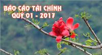 Báo cáo tài chính quý I năm 2017