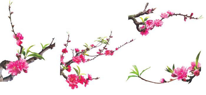 Giấy phép thành lập CN Quảng Ninh