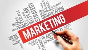 NQ của HĐQT về việc thành lập Phòng Marketing thuộc Ban Kế hoạch Đầu tư và Phát triển Kinh doanh