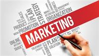 NQ của HĐQT về việc thành lập Phòng Marketing thuộc Ban Kế hoạch Đầu tư và Phát triển Kinh doanh