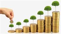 Giấy phép điều chỉnh về tăng vốn điều lệ 2017