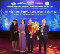 BẢO HIỂM HÀNG KHÔNG (VNI) THƯƠNG HIỆU MẠNH VIỆT NAM 2017