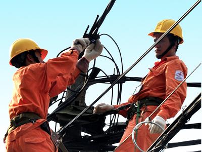 Một số điểm về Bảo hiểm tai nạn Hộ sử dụng điện