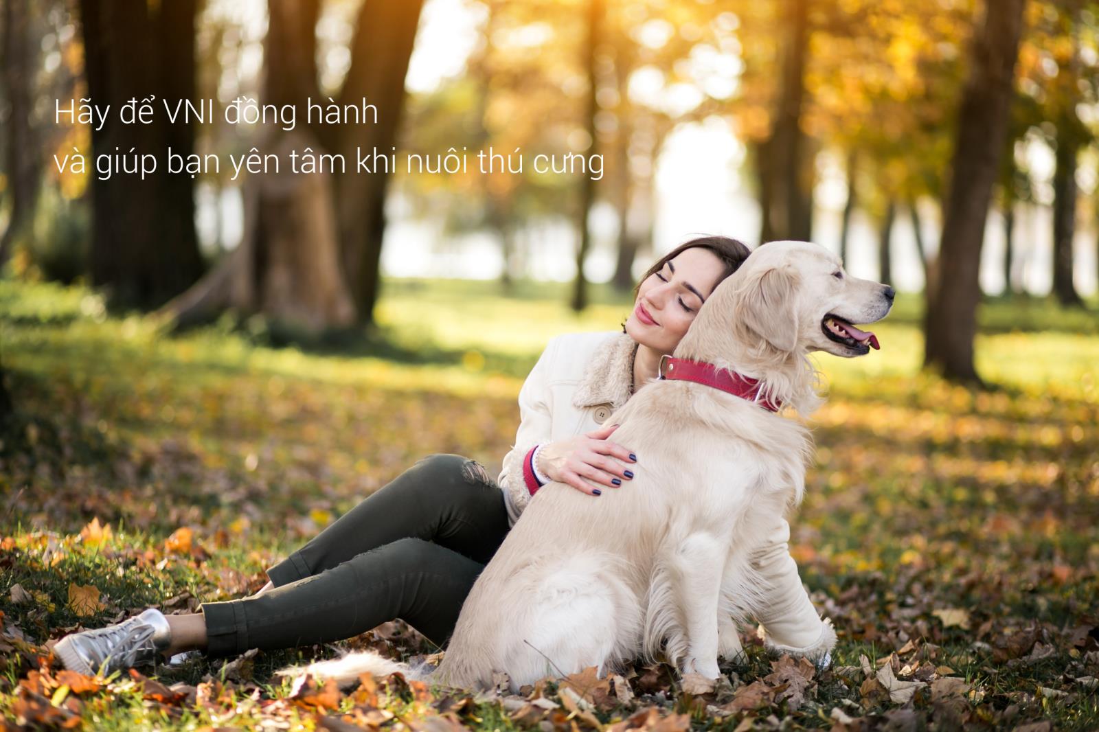 Bảo hiểm TNDS chủ nuôi chó