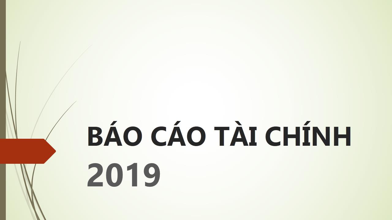 Báo cáo tài chính kiểm toán năm 2019